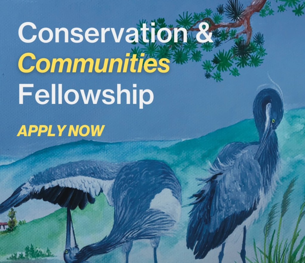 Global Diversity Foundation (GDF) Conservation and Communities&nbsp;Fellowship