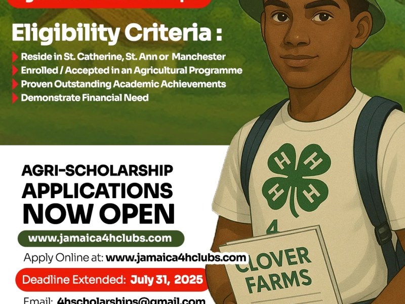 Rio Tinto Alcan Legacy Fund&nbsp;Scholarship